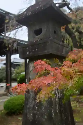 豪徳寺(東京都)