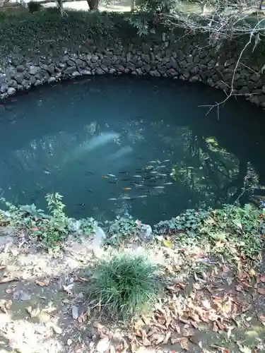 唐澤山神社の庭園