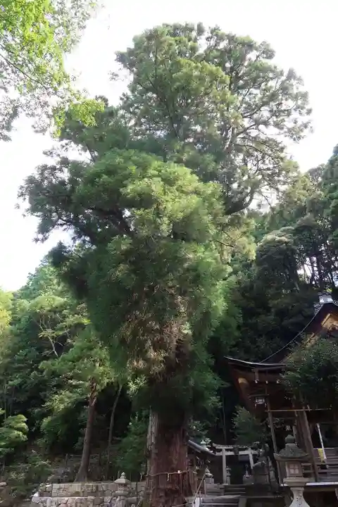 青根天満宮(滋賀県)