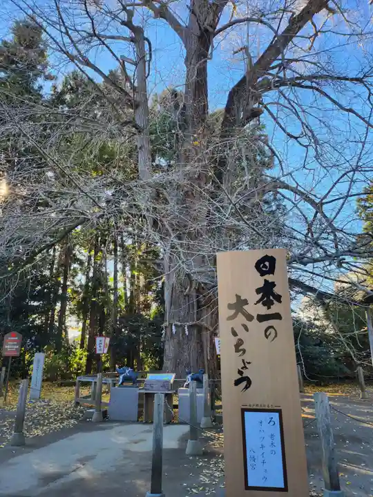 水戸八幡宮(茨城県)
