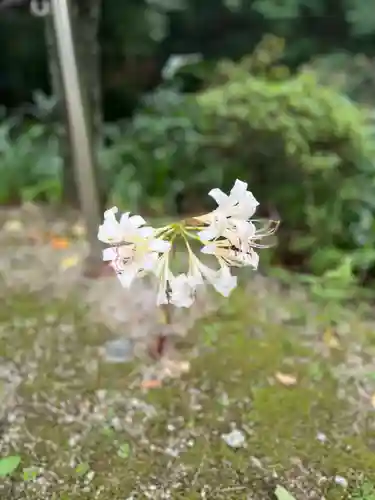 岡寺（龍蓋寺）(奈良県)