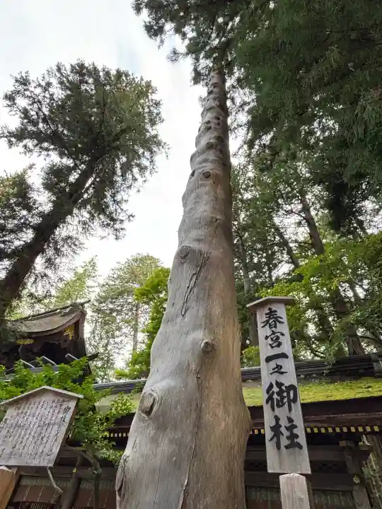 諏訪大社下社春宮(長野県)