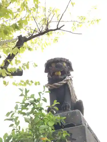 駛馬天満宮の狛犬