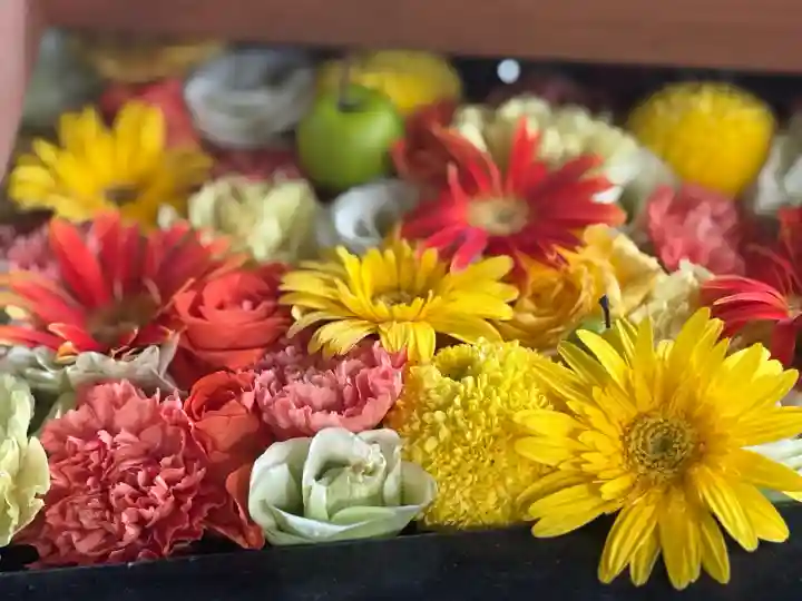 帯廣神社の手水舎