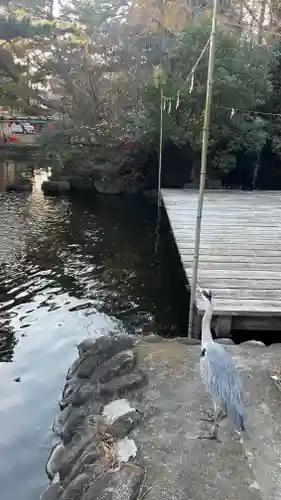 平塚八幡宮(神奈川県)