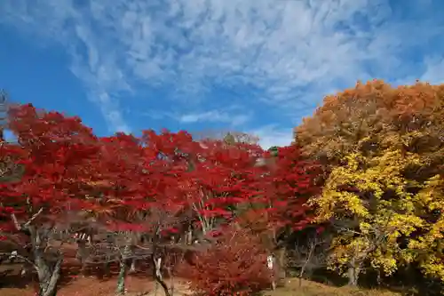 土津神社｜こどもと出世の神さまの自然