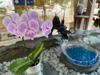 琴似神社の手水舎