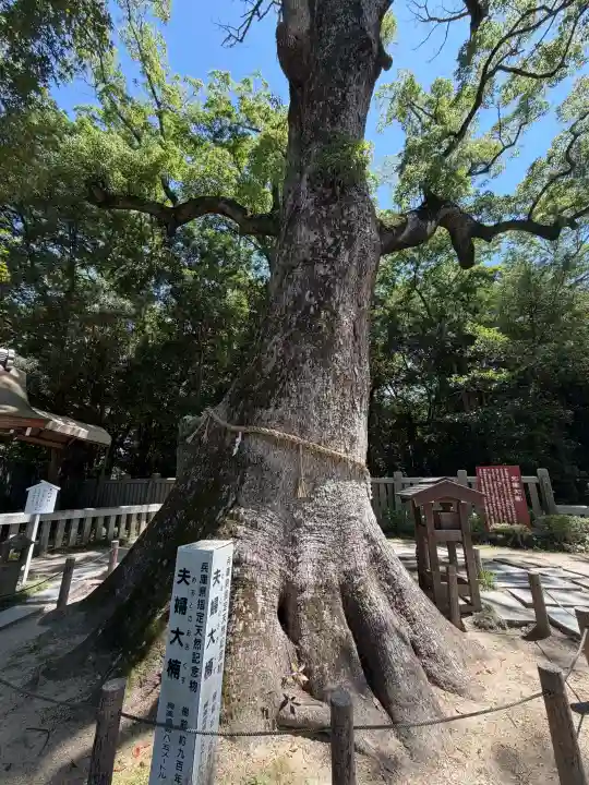 伊弉諾神宮の{uncategorized: "未分類", other: "その他", undefined: "問題あり", building: "その他建物", grave: "お墓", sacred_gate: "鳥居", guardian: "狛犬", statue: "像", buddha: "仏像", history: "歴史", nature: "自然", garden: "庭園", animal: "動物", pagoda: "塔", temizu: "手水舎", mountain_gate: "山門・神門", sanctuary: "本殿・本堂", subordinate: "末社・摂社", art: "芸術", scenery: "景色", jizo: "地蔵", ema: "絵馬", goshuin: "御朱印", omikuji: "おみくじ", items: "授与品その他", amulet: "お守り", goshuincho: "御朱印帳", eats: "食事", festival: "お祭り", votive_dance: "神楽", shichigosan: "七五三参", wedding: "結婚式", experience: "体験その他", initially: "初詣", around: "周辺", anti_infection: "感染症対策"}