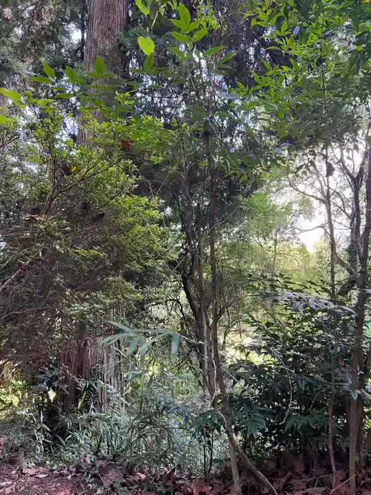 大宮温泉神社(栃木県)