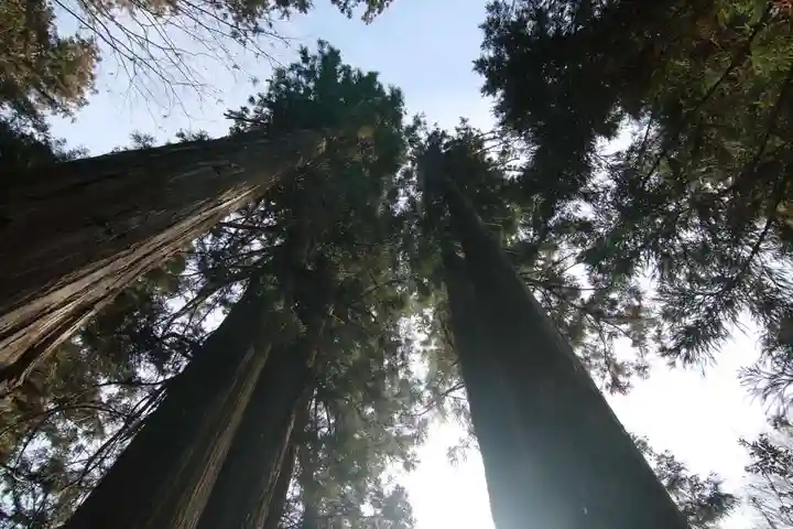 鹿島大神宮の自然