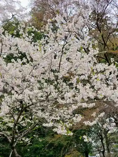 唐澤山神社(栃木県)