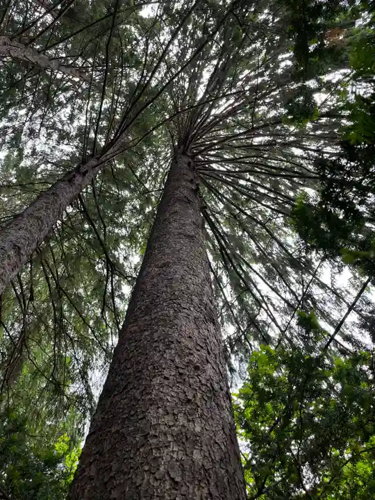 開拓神社の自然