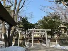 新琴似神社の鳥居