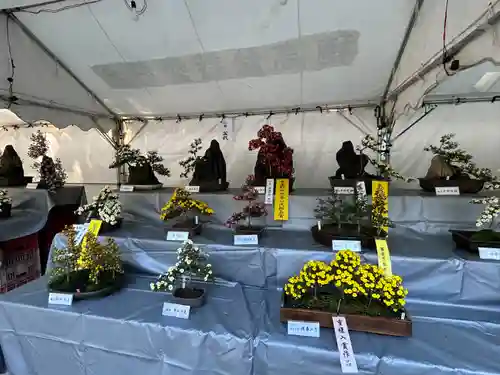 穂高神社本宮(長野県)