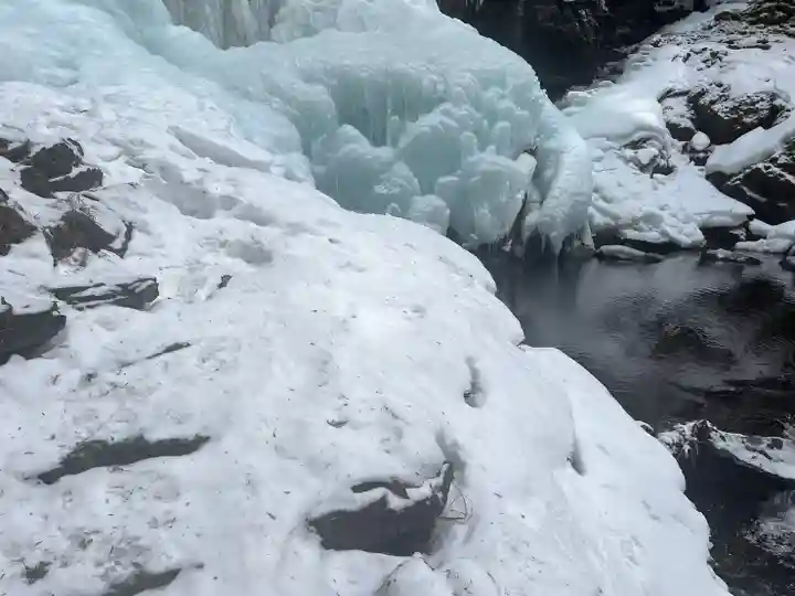 上尾御嶽神社の自然