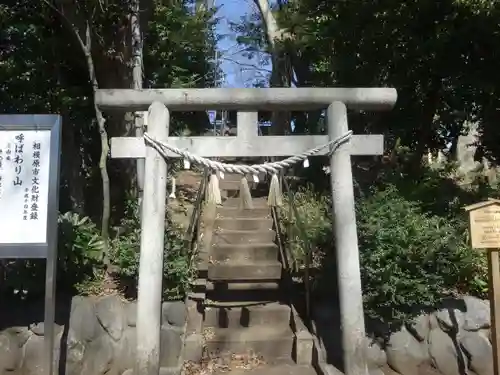 新田稲荷神社の鳥居