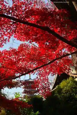 本土寺(千葉県)