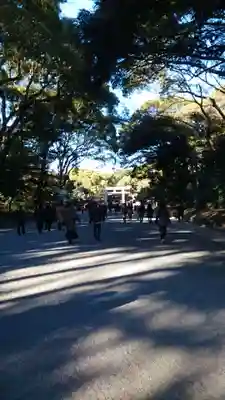 明治神宮(東京都)