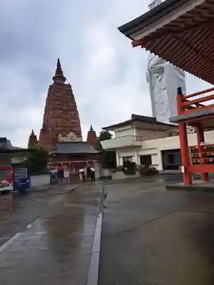 久留米分院(福岡県)