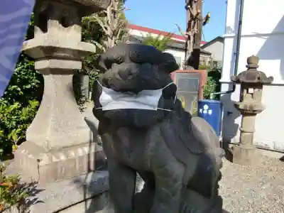 白鬚神社の狛犬