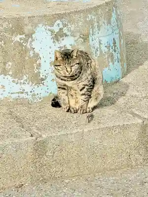 銚港神社の{uncategorized: "未分類", other: "その他", undefined: "問題あり", building: "その他建物", grave: "お墓", sacred_gate: "鳥居", guardian: "狛犬", statue: "像", buddha: "仏像", history: "歴史", nature: "自然", garden: "庭園", animal: "動物", pagoda: "塔", temizu: "手水舎", mountain_gate: "山門・神門", sanctuary: "本殿・本堂", subordinate: "末社・摂社", art: "芸術", scenery: "景色", jizo: "地蔵", ema: "絵馬", goshuin: "御朱印", omikuji: "おみくじ", items: "授与品その他", amulet: "お守り", goshuincho: "御朱印帳", eats: "食事", festival: "お祭り", votive_dance: "神楽", shichigosan: "七五三参", wedding: "結婚式", experience: "体験その他", initially: "初詣", around: "周辺", anti_infection: "感染症対策"}