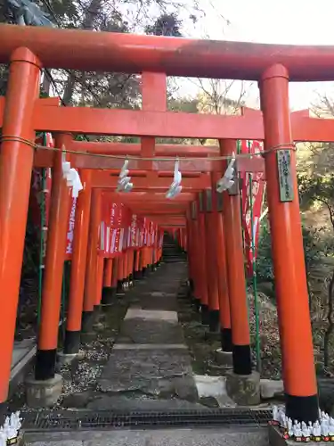 佐助稲荷神社の鳥居