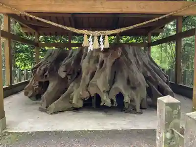 国造神社(熊本県)
