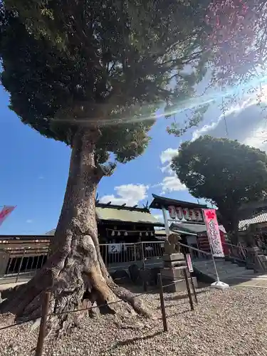 山田天満宮(愛知県)