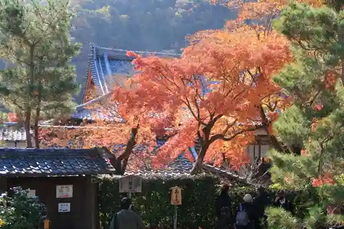 天龍寺のその他建物