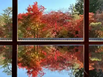 宝徳寺の{uncategorized: "未分類", other: "その他", undefined: "問題あり", building: "その他建物", grave: "お墓", sacred_gate: "鳥居", guardian: "狛犬", statue: "像", buddha: "仏像", history: "歴史", nature: "自然", garden: "庭園", animal: "動物", pagoda: "塔", temizu: "手水舎", mountain_gate: "山門・神門", sanctuary: "本殿・本堂", subordinate: "末社・摂社", art: "芸術", scenery: "景色", jizo: "地蔵", ema: "絵馬", goshuin: "御朱印", omikuji: "おみくじ", items: "授与品その他", amulet: "お守り", goshuincho: "御朱印帳", eats: "食事", festival: "お祭り", votive_dance: "神楽", shichigosan: "七五三参", wedding: "結婚式", experience: "体験その他", initially: "初詣", around: "周辺", anti_infection: "感染症対策"}