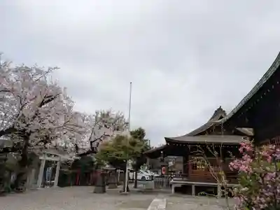 本郷氷川神社(東京都)