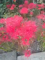 福寿院(東京都)