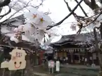 湊八幡神社(福井県)