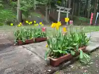 大宮温泉神社の自然
