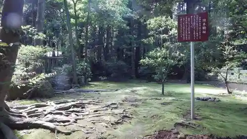 彌彦神社の自然