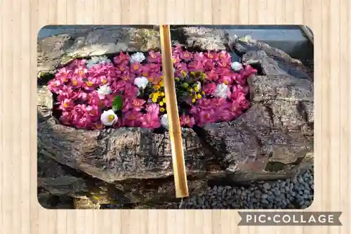 阿智神社の手水舎