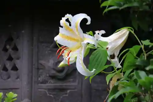 豊景神社の庭園