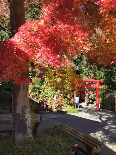 長谷寺の庭園