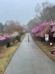 三峯神社(埼玉県)