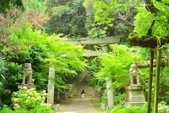 赤坂氷川神社(東京都)