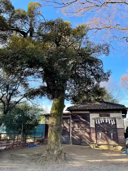 本太氷川神社(埼玉県)