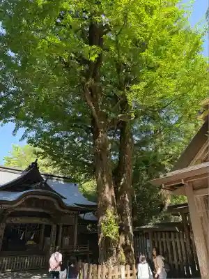 天岩戸神社(宮崎県)