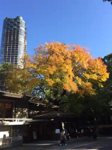 乃木神社の自然