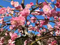 綱敷天満宮(福岡県)