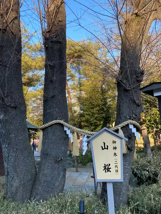 櫻木神社の自然