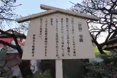 西新井大師総持寺の歴史