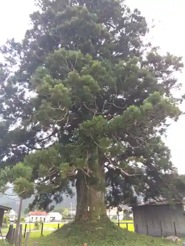 戸隠神社(岐阜県)