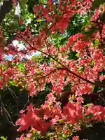 厚別神社(北海道)