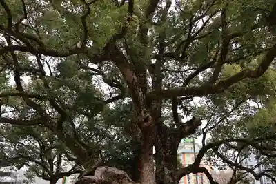 諫早神社（九州総守護  四面宮）(長崎県)