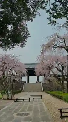 東郷寺(東京都)
